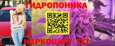 прущие крисы Абакан