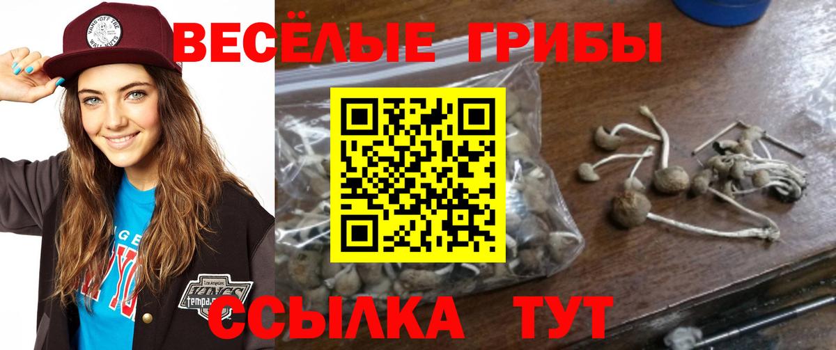 Галлюциногенные грибы GOLDEN TEACHER  Вход с VPN  Алушта 