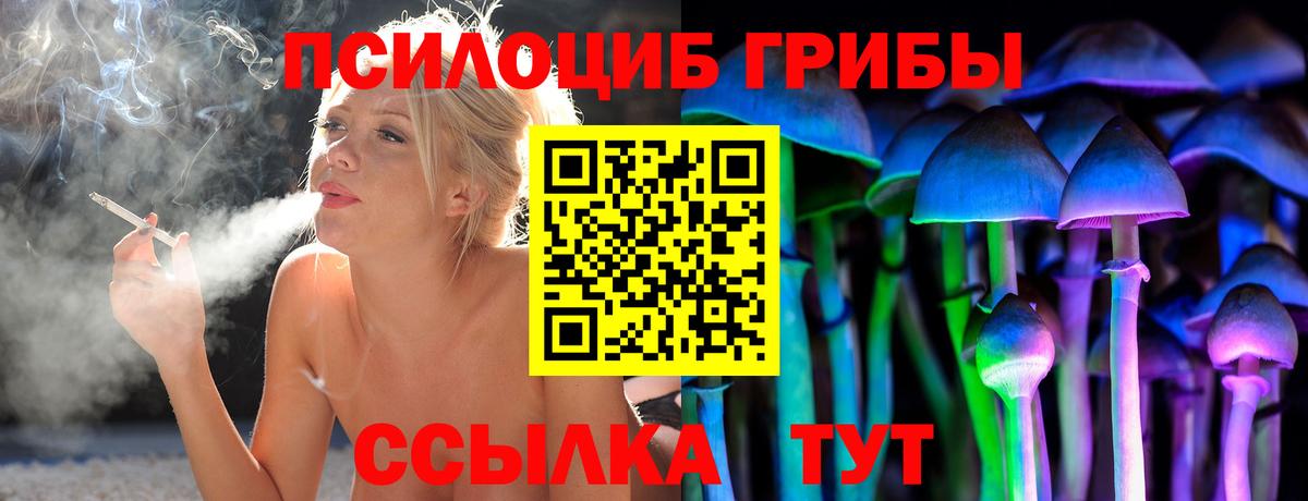 Псилоцибиновые грибы мухоморы Алушта
